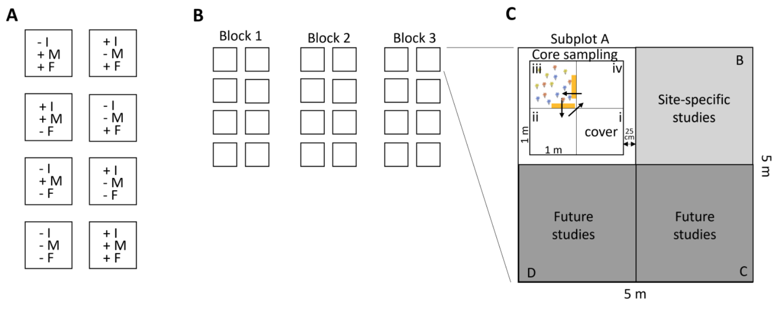 Experimental study - BugNet
