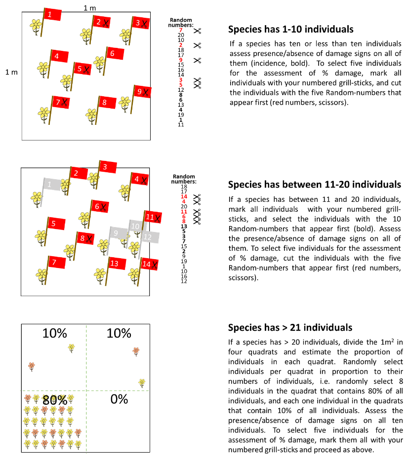 Protocol on estimating leaf herbivore damage and pathogen infection